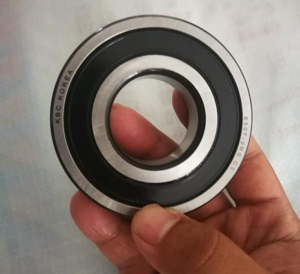 Auto Bearing Durable Long Life 6301 6302 6303 6304 6305 6306 6307 6308 6309 6310 Open/Zz/2RS Deep Groove Ball Bearing Bicycle Bearing Motrocycle Bearing