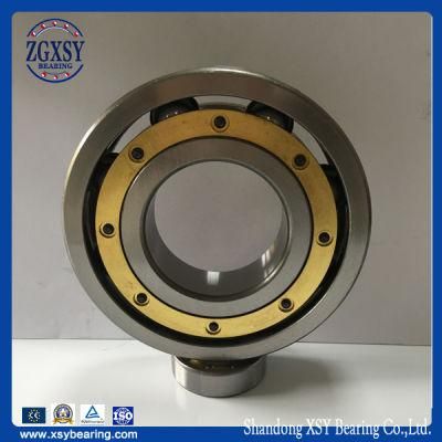 Normal Precision Standard 61909 Deep Groove Ball Bearing