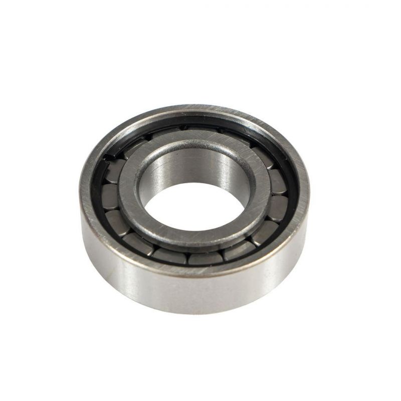 for Motor Spindle Lifting Nj202ecm Cylindrical Roller Bearing