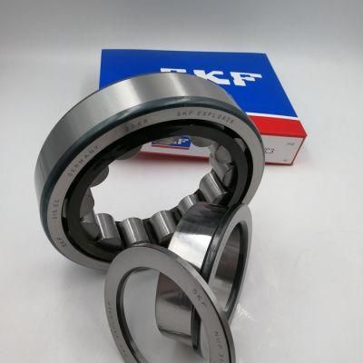 SKF Germany P6 Double Row Cylindrical Roller Bearing Nu Nj 307 2307 Nj308 Nj2308 Nj309 Nj2309