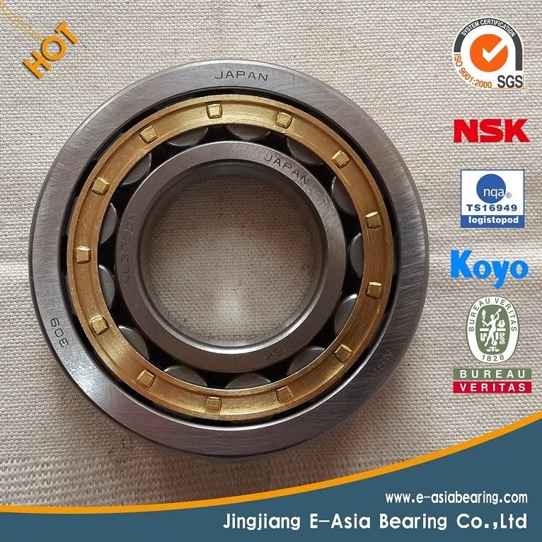 Ezo Bearing 6206zz 6207zz 6208zz 6209zz 6210zz 6000 Series