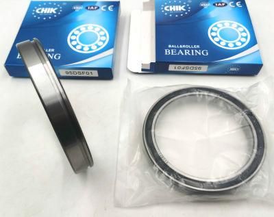 Chik Brand 95dsf01 Dducm 95dsf01 2RS Deep Groove Ball Bearing Gcr10 Bearing Steel P6 Grade 95*120*17mm