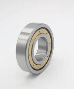 Single Direction Factory Production Deep Groove Ball Bearing Model No. 6224m