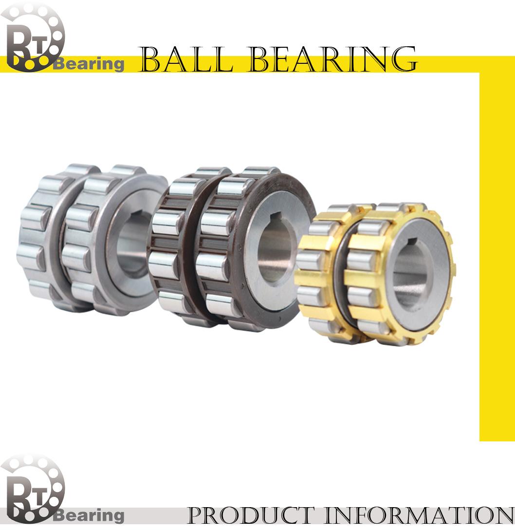 Eccentric Bearings/Double Row Cylindrical Roller Bearings/Non-Standard Bearings for Machinery, Eccentric Bearings for Construction Machinery, 2LV45-1AG Rolling