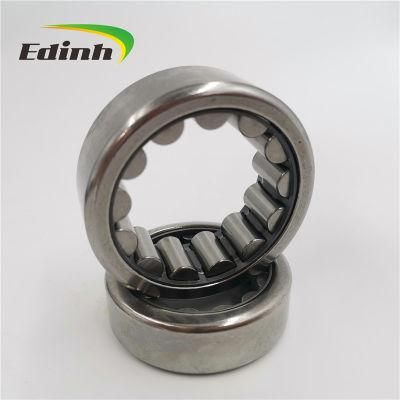 Needle Roller Bearing 513023