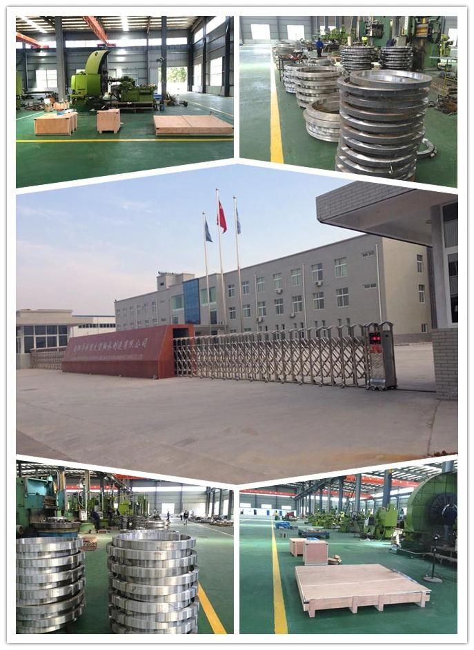 Slewing Ring Bearing with Dual Flange L6-25p9zd  Single Row Ball Bearing