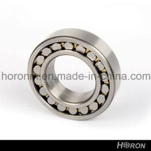 Famous Brand Spherical Roller Bearing (29380)