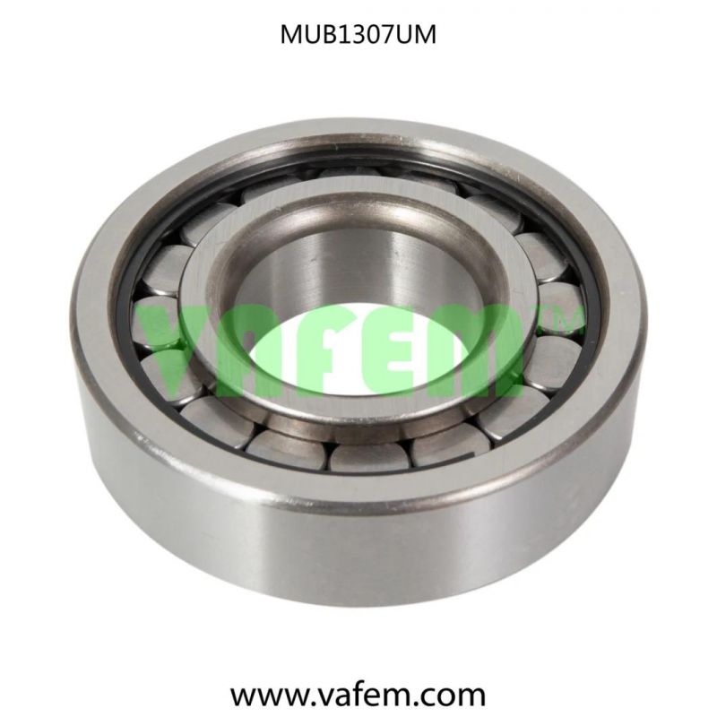 Double Row Cylindrical Roller 4304599/ Roller Bearing/Full Complement Bearing