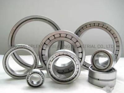 Nu/Nj/Nup/N/NF Series Single Row Cylindrical Roller Bearings (NJ1005EM NJ2309EM N2310EM N2311EM N2312EM N2313EM)