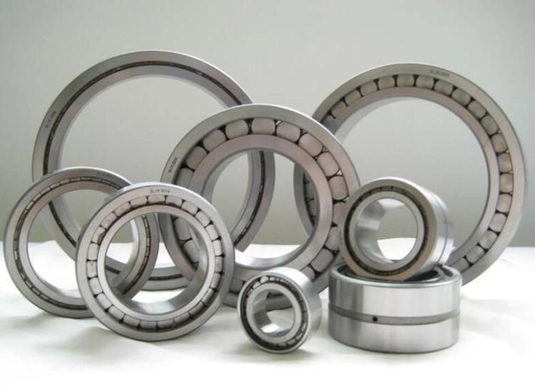 340X520mm 24068ca/W33 Double Rows Spherical Roller Bearing with Cylindrical Bores