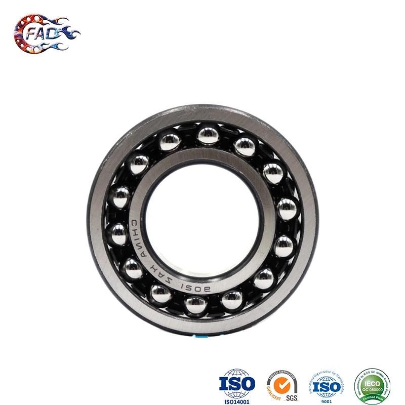 Xinhuo Bearing China Ceramic Ball Bearing Supply 6002 Zz11209 Selfaligning Bearing