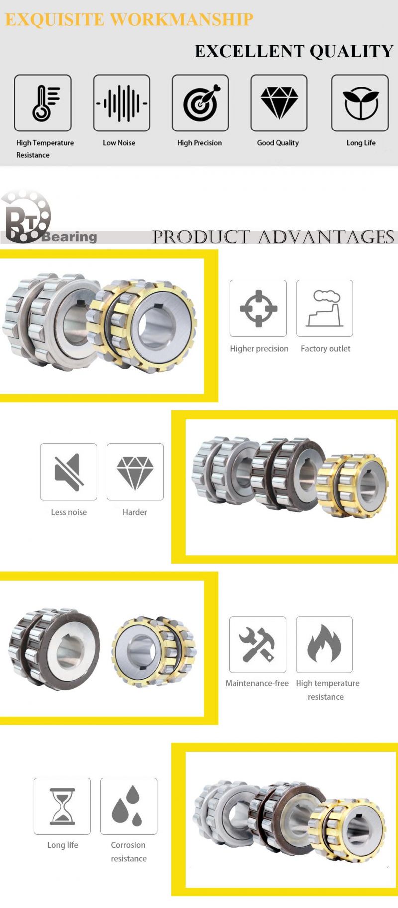 Eccentric Bearings/Double Row Cylindrical Roller Bearings/Non-Standard Bearings for Machinery, Eccentric Bearings for Construction Machinery, 2LV45-1AG Rolling