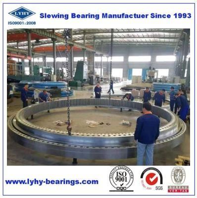 Double Row Ball Slewing Bearings Slewing Ring Bearings with Internal Teeth 012.50.3839.001.49.1502