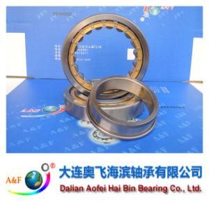 A&F Bearing/ Cylindrical Roller Bearing NJ221M