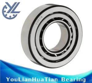 Low Price Single Row Angular Contact Ball Bearing (7307B)