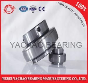 High Quality Good Price Pillow Block Bearing (Uc310 Ucp310 Ucf310 Ucfl310 Uct310)