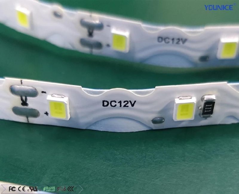 DC12V 50m SMD2835 LED Tape Light LED Flexible Strip for Wholesale