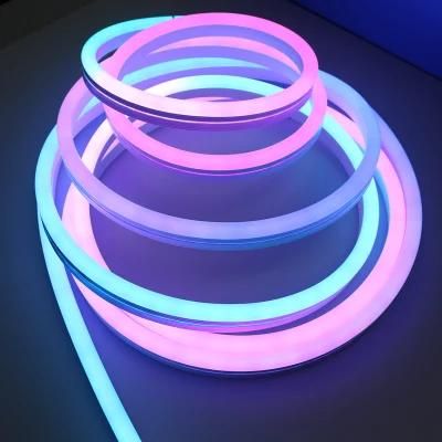 IP65 Strip Neon Flex Rope Light 110V 220V 24V 12V Color Changing RGB LED Neon Light