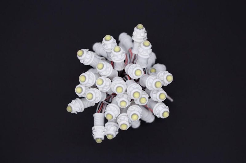 Waterproof IP65 LED Pixel Ws2811 Ws1903 DC5V Pixel Light