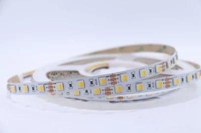 Good Quality 12V/24V SMD 2835/5050 120 LEDs/Meter Flexible LED Strip Light