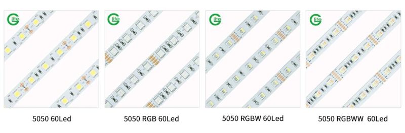 3years Warranty LED Light Strip SMD5050 RGB 60LED 14.4W Ra80 LED Strip DC24 LED Light Strip Strip