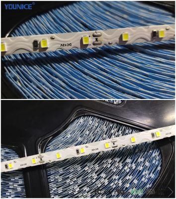 100lm/W 50m Long Reel LED Ribbon Light Flexible Strip