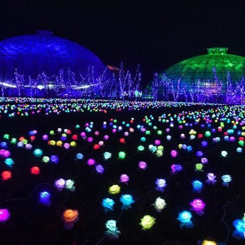 RGB Color LED Bamboo Garden Decoration Christmas Light