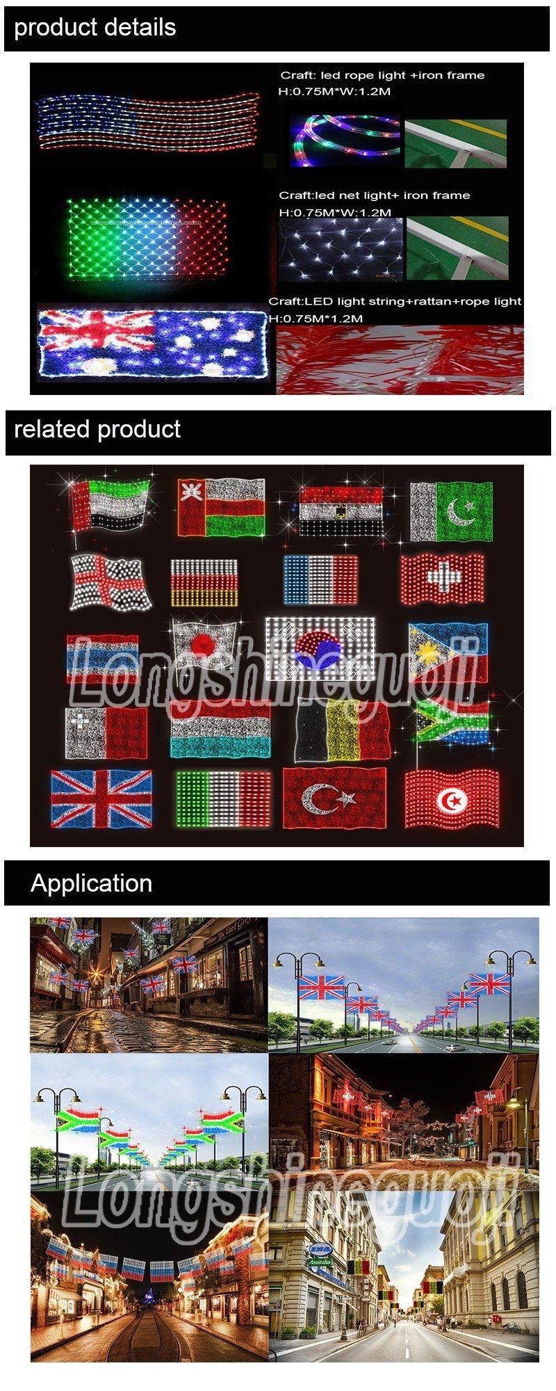 Outdoor Advertising French Flag Strip Light String for Outdoor Decoration