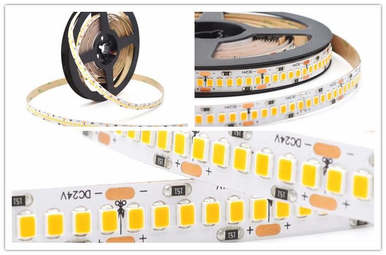 3years Warranty LED Light Stripsmd2835 240LED 18W Ra90 LED Strip DC24 White Color Strip LED Light