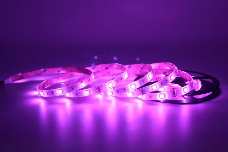 High Lumen SMD5050 LED Flexible Strip Light Decoration LED Rope Lights