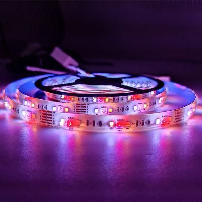 Advanced Design Energy Saving Factory Supply LED Light Strips Gaming