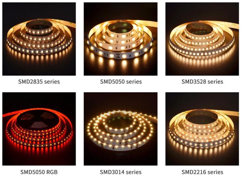 3years Warranty LED Light Strip SMD5050 RGBW 60LED 19.2W Ra80 LED Strip DC24 LED Light Strip