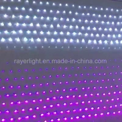 Holiday Lights Outdoor Programmed LED Christmas Deocration Net Lights