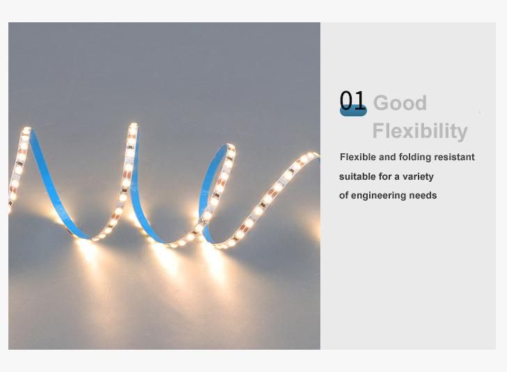 LED Strip Light 12V LED Light Strip 24V LED Lamp Belt LED Lamp Strip for Indoor Lighting