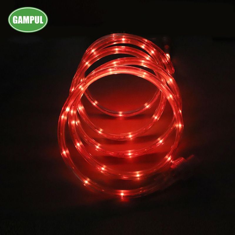 Outdoor Waterproof 7.3m RGB Rope Light for Party, Christmas Decoration