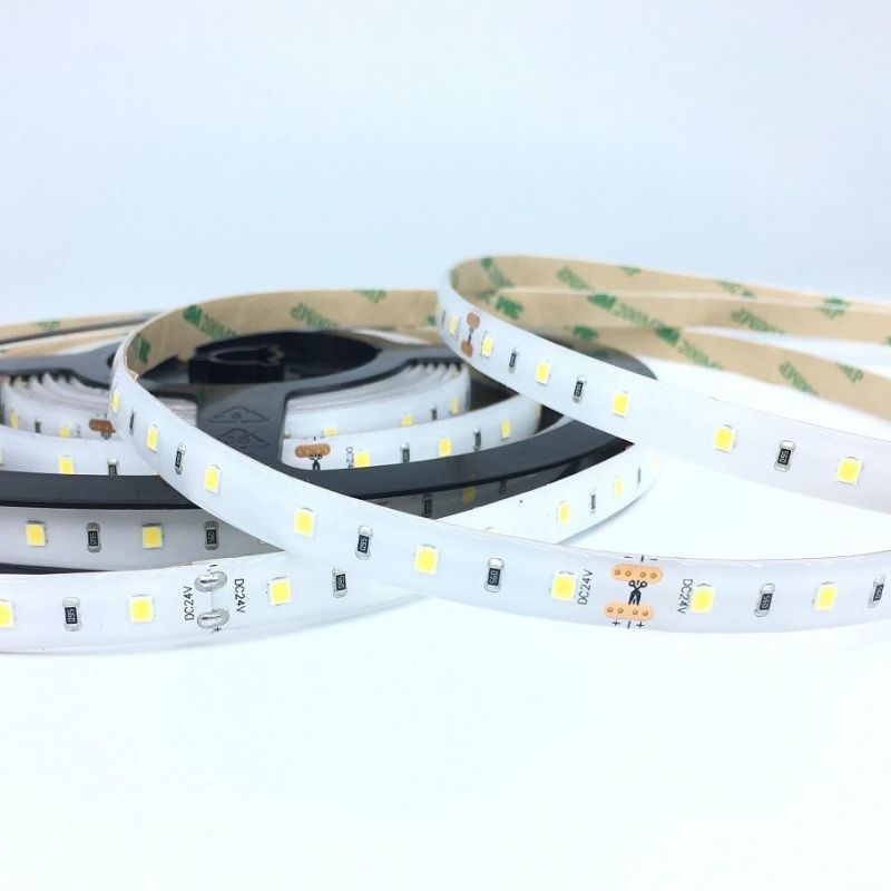 Waterproof IP68 COB Flexible Rope Light 12V 24V COB LED Strip with CE Certificate