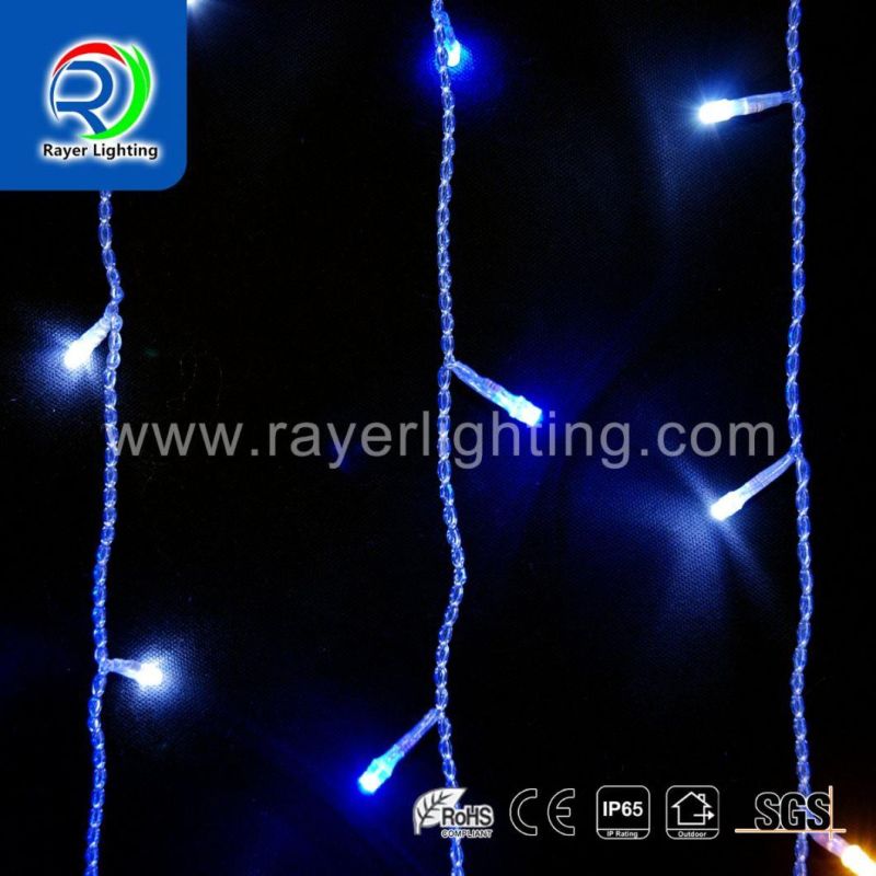 LED Wedding Decorative Light LED Curtain Light LED String Light LED Home Decoration