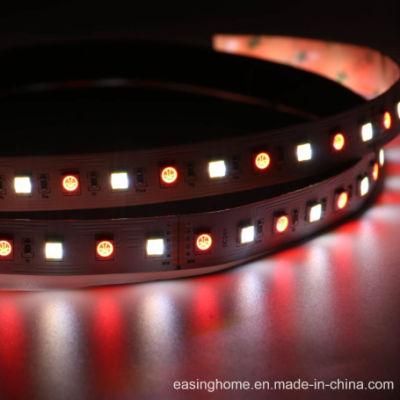 DC12V/24V 5050SMD RGBW 4in1/5in1 60LEDs/M 14.4W LED Dots Free Decoration Flexible Strip Lights