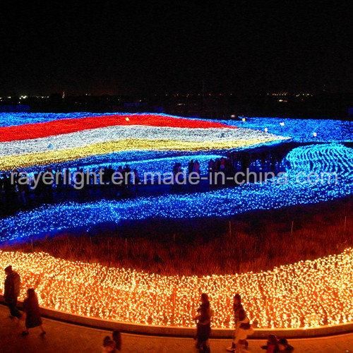 Multicolor LED Holiday Decorative String Light From Factory