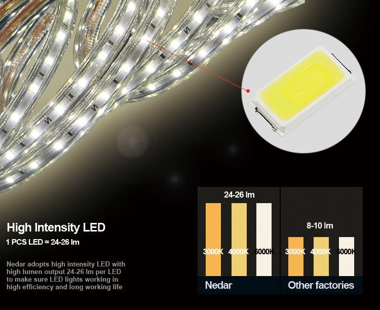 AC120V ETL Cert SMD 2835 LED Strip Light with Power Supply 25 Meter Pack 82.4FT Length Outdoor Used Waterproof IP65 Decoration Light