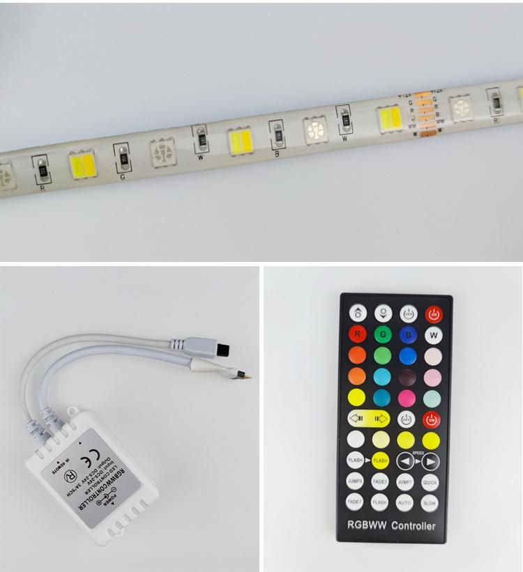 Dimmable Cx-Lumen Brilliant Smart Strip Eco Friendly LED Rope Light with CCC High Quality