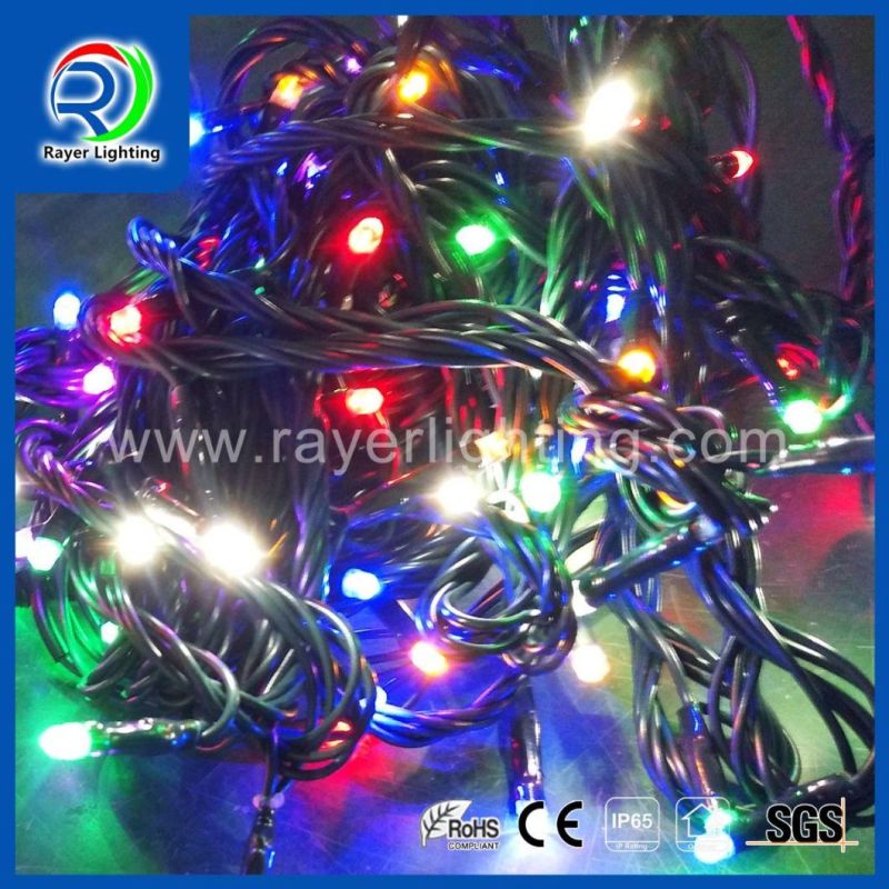 IP44IP65 Unique Color Shopping Mall Flashing LED Christmas Lights with Controller