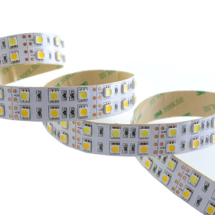 Newest design high brightness SMD5050 24V 120LEDs/m CCT Adjustable LED Strip Lights with CE cetification