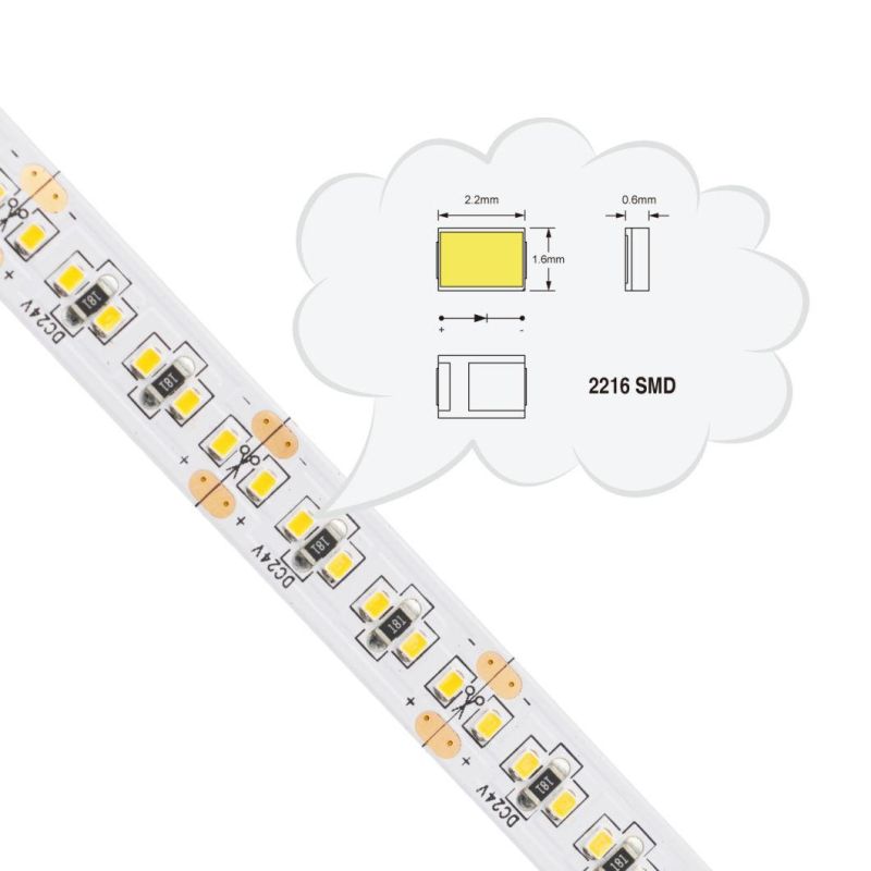 ETL LED Strip Light SMD2216 240LEDs/M 5years Warranty