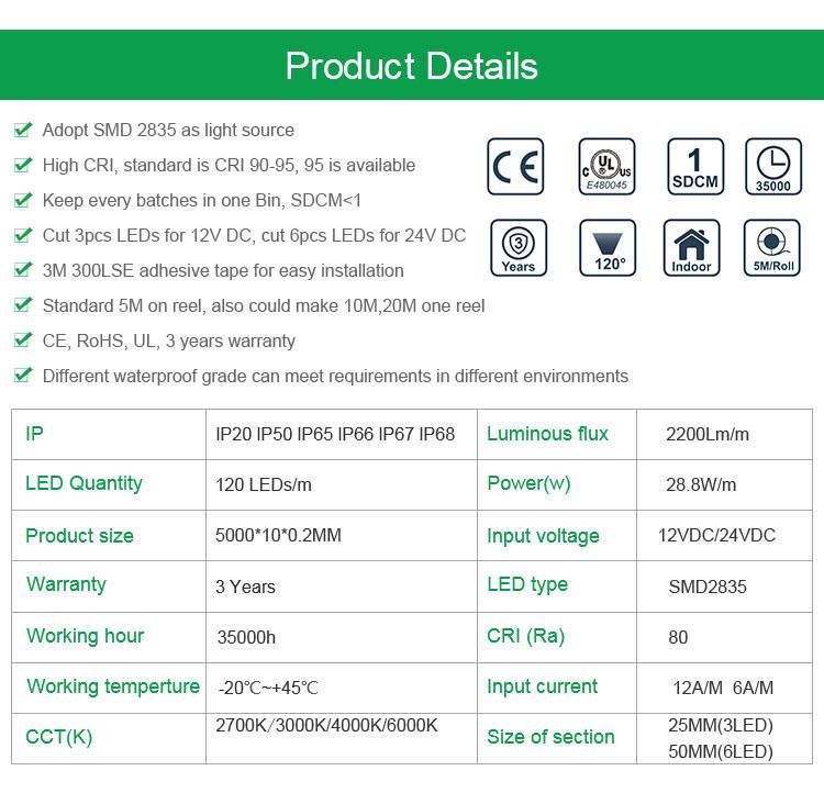 DC12V/24V CE Approved Flexible LED Strip Light LED Strip Lamp