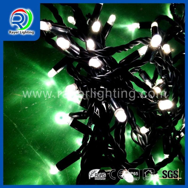 IP65 European Market Popular Lights Outdoor Festival Wedding Decoration LED String Light