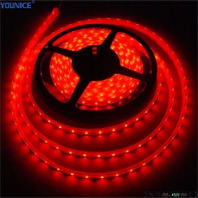 10mm Width RGB Strip DC24V 120LEDs/M LED Flexible Tape Light LED Strip