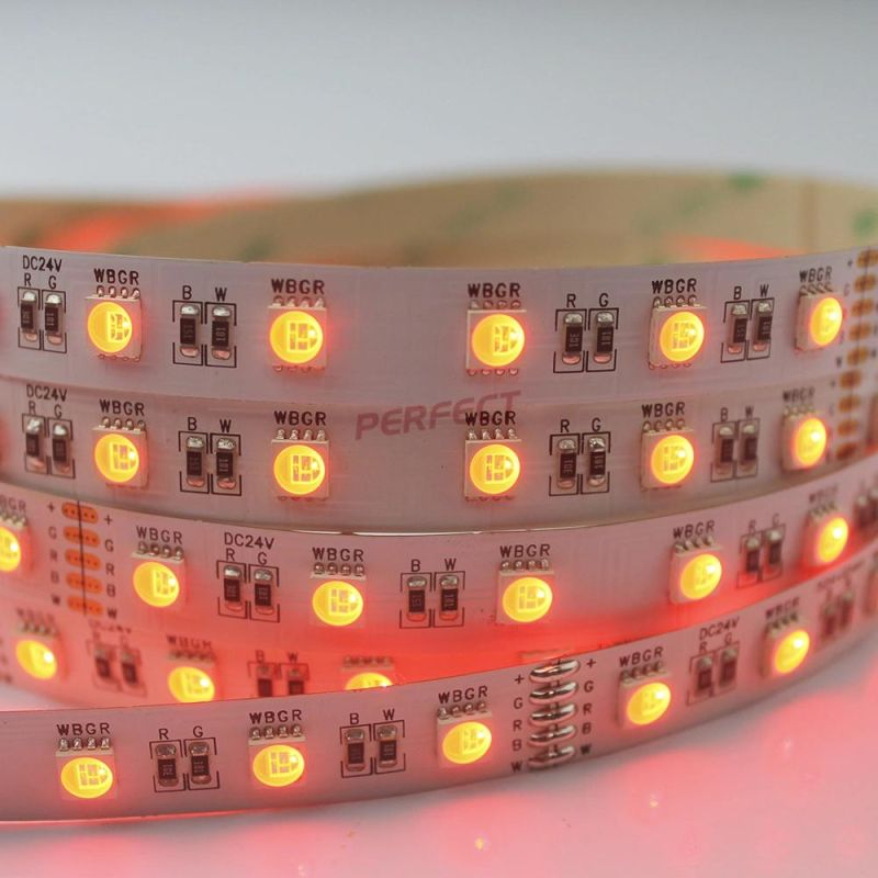 5050SMD 60LED DC12V 24V RGBW 4in1 LED Strip with 5 Pin LED Connector LED Strip Lighting