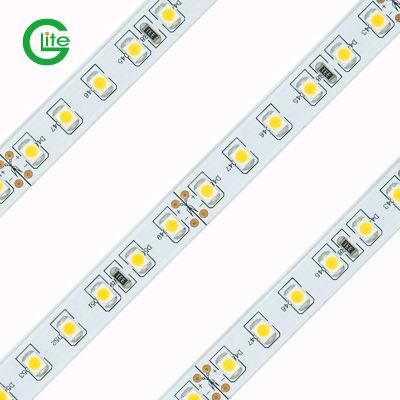 Best Quality LED Light Strip SMD3528 120LED DC24 Single Color LED Light