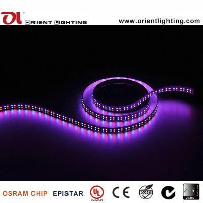 UL Ce Double Line 240LEDs/M SMD3528 RGBA LED Strip Light